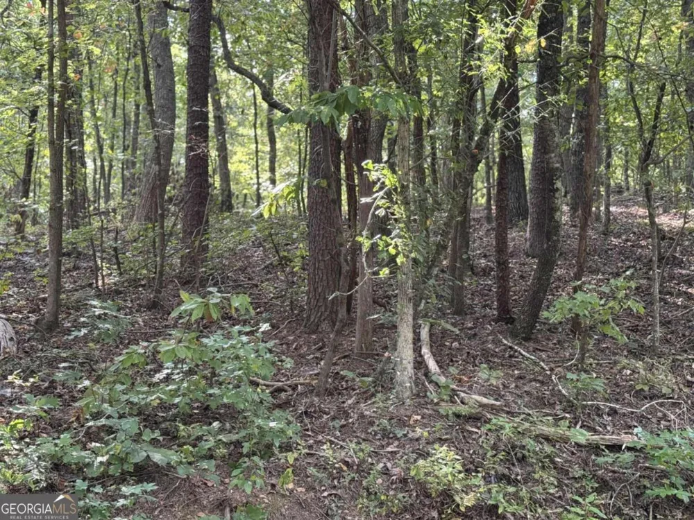 0 Cagle RD NE Fairmount, GA 30139
