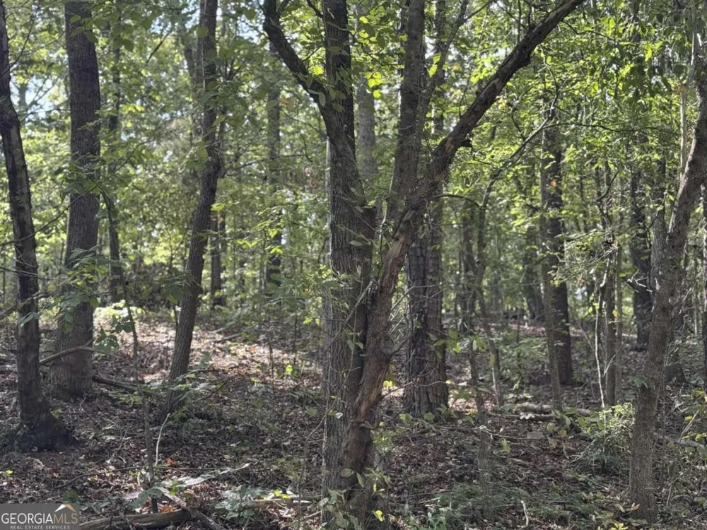 0 Cagle RD NE Fairmount, GA 30139