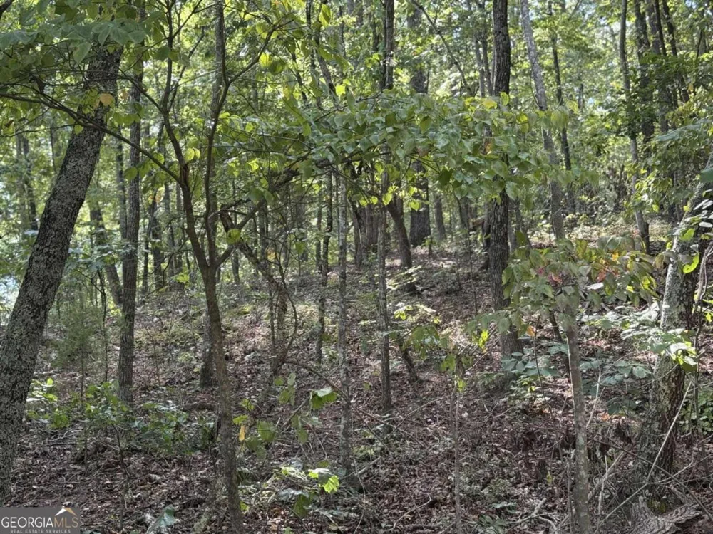 0 Cagle RD NE Fairmount, GA 30139