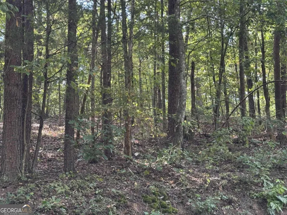 0 Cagle RD NE Fairmount, GA 30139
