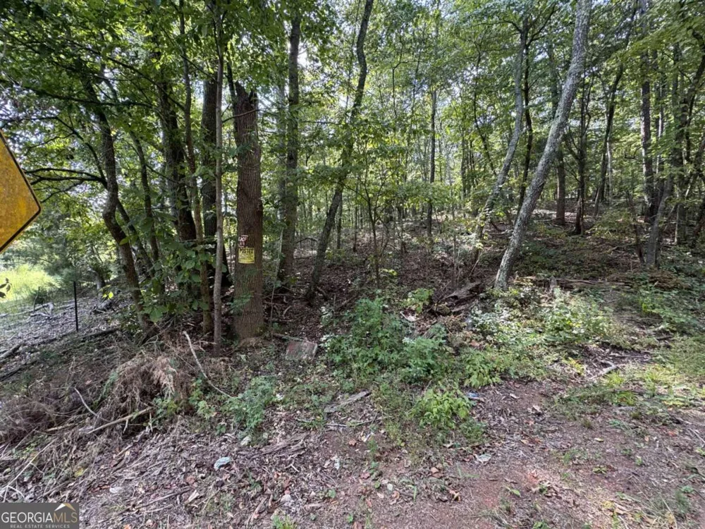 0 Cagle RD NE Fairmount, GA 30139