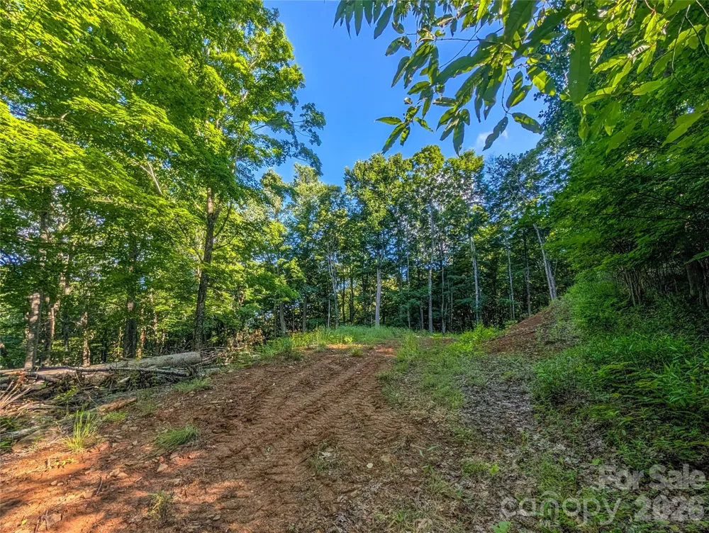 000 Amber Ranches #47 Bakersville, NC 28705