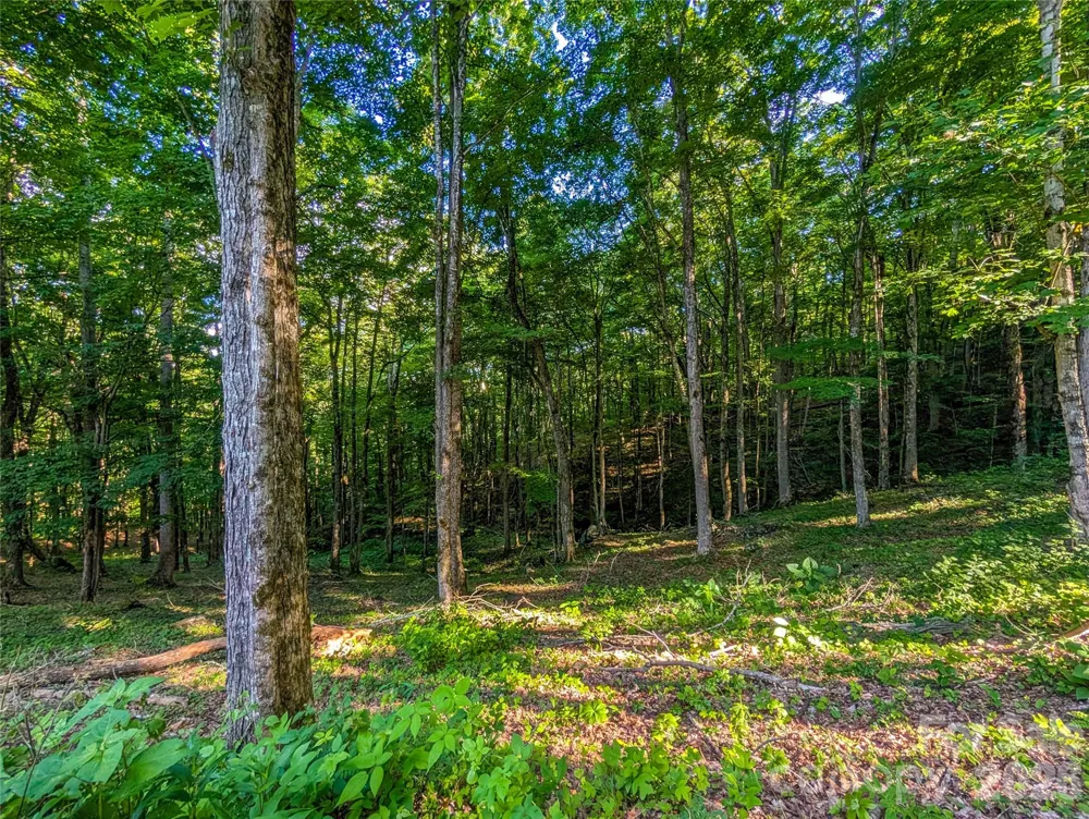 000 Amber Ranches #47 Bakersville, NC 28705
