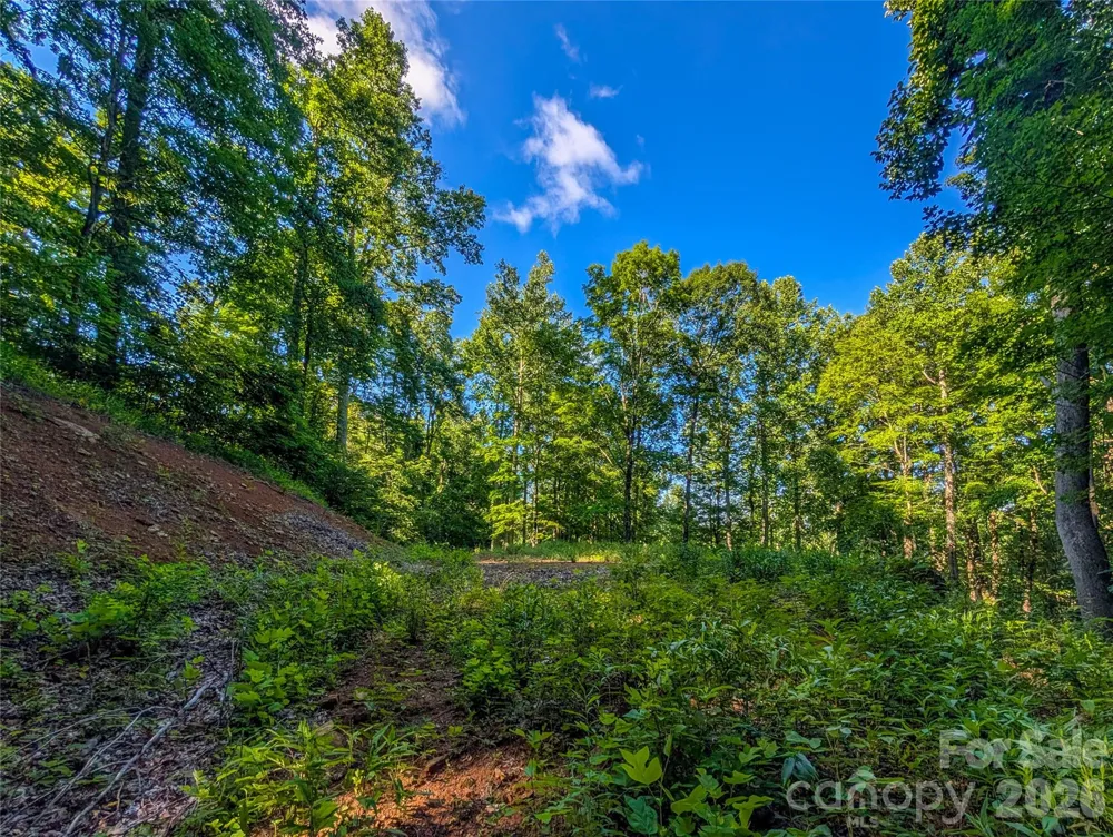 000 Amber Ranches #47 Bakersville, NC 28705