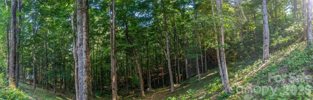 000 Amber Ranches #47 Bakersville, NC 28705