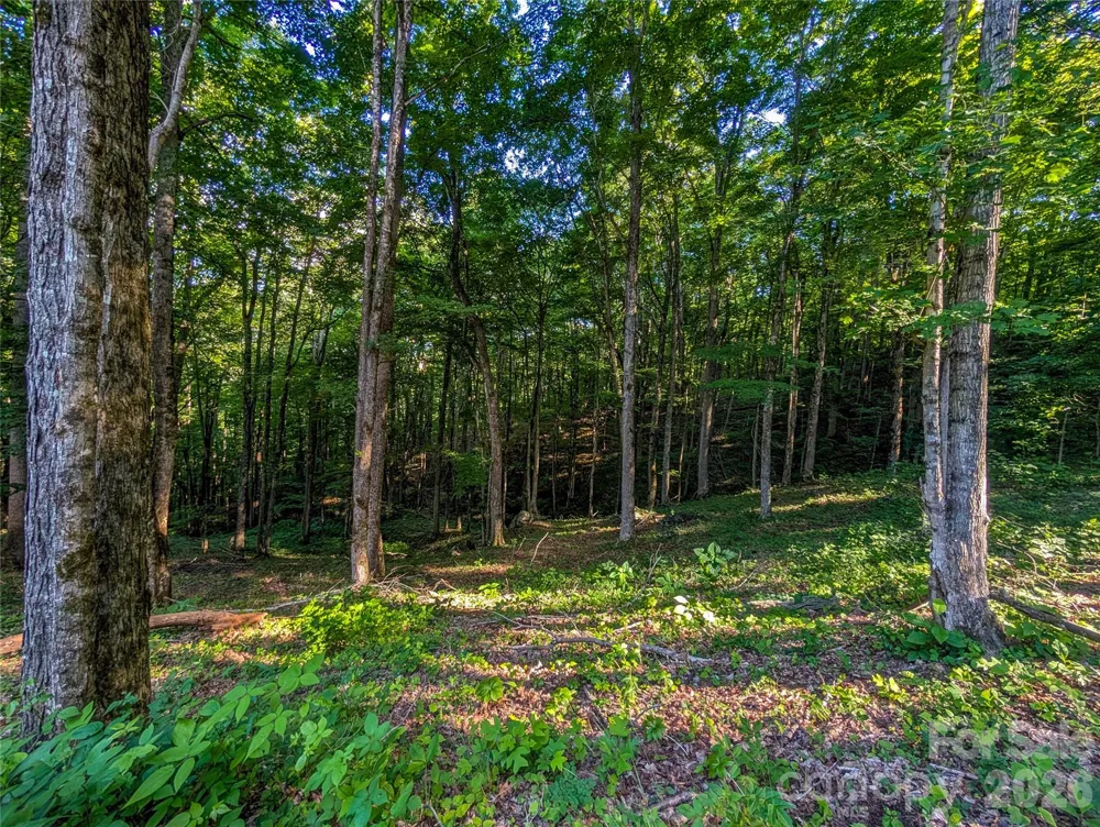 000 Amber Ranches #47 Bakersville, NC 28705