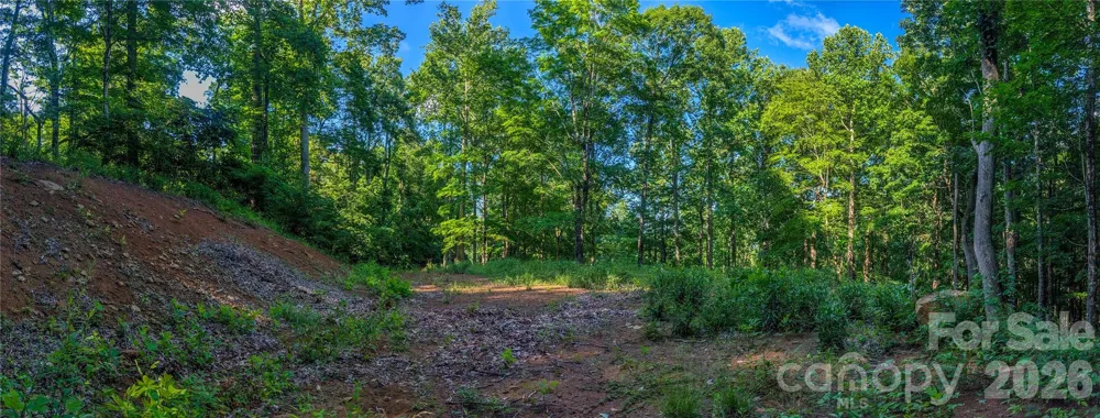 000 Amber Ranches #47 Bakersville, NC 28705