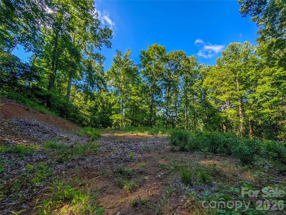 000 Amber Ranches #47 Bakersville, NC 28705
