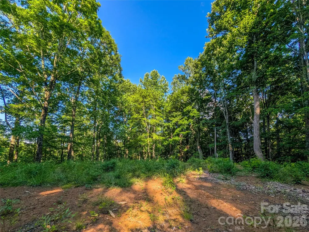 000 Amber Ranches #47 Bakersville, NC 28705