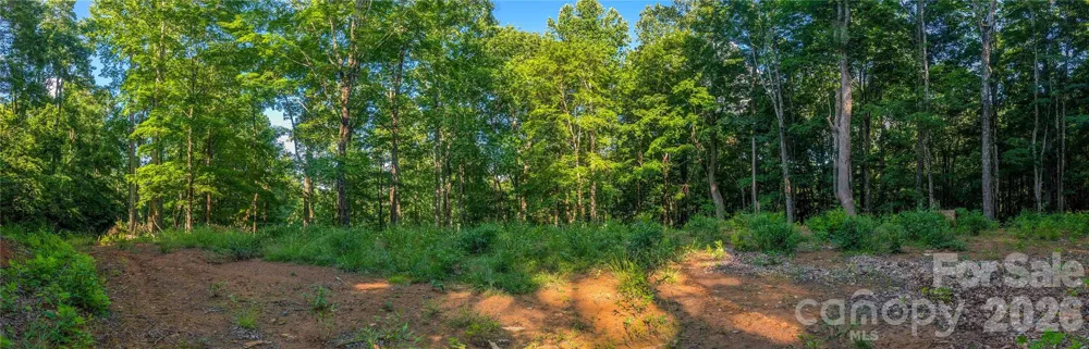 000 Amber Ranches #47 Bakersville, NC 28705