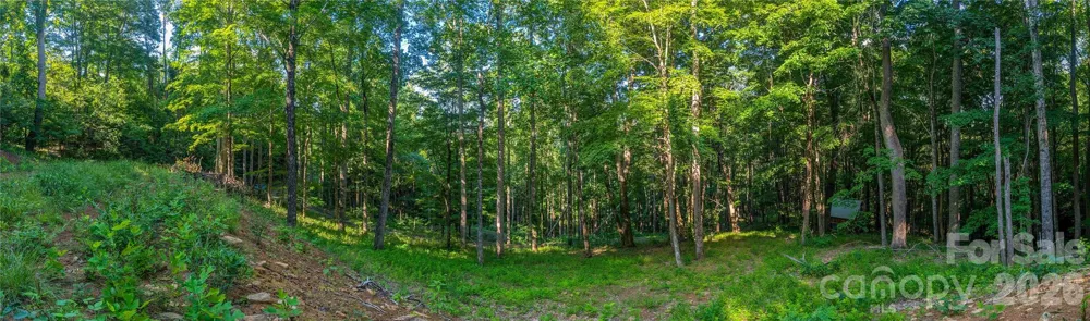 000 Amber Ranches #47 Bakersville, NC 28705