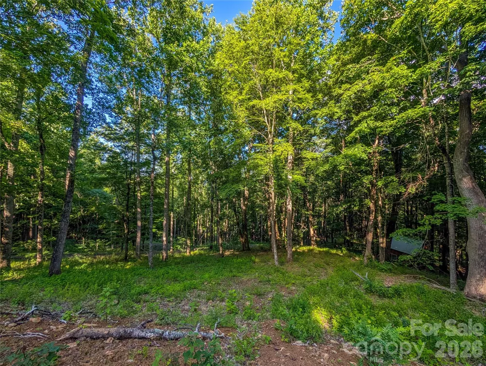 000 Amber Ranches #47 Bakersville, NC 28705