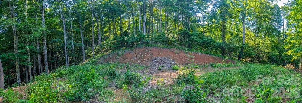 000 Amber Ranches #47 Bakersville, NC 28705