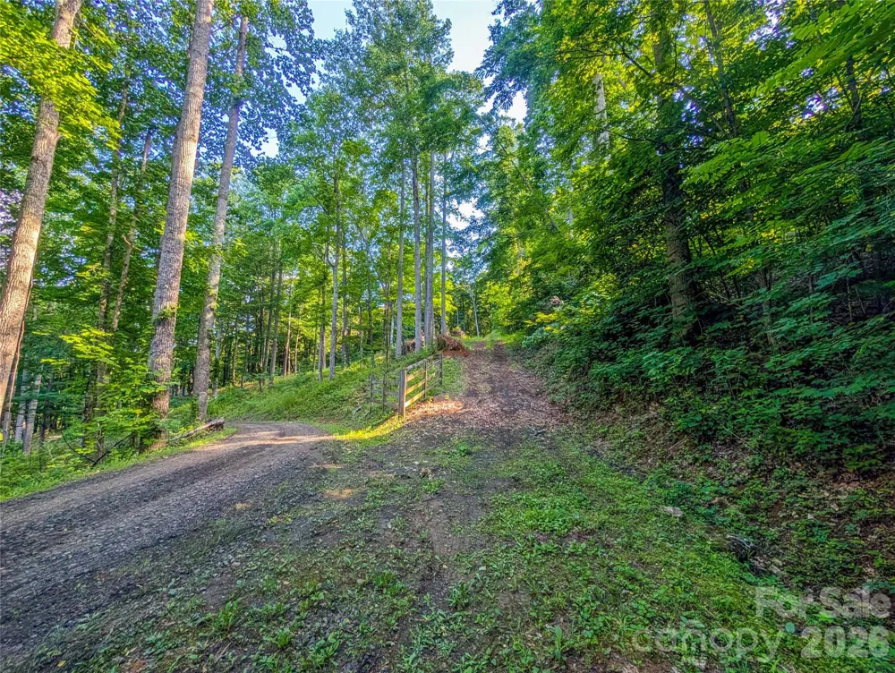 000 Amber Ranches #47 Bakersville, NC 28705