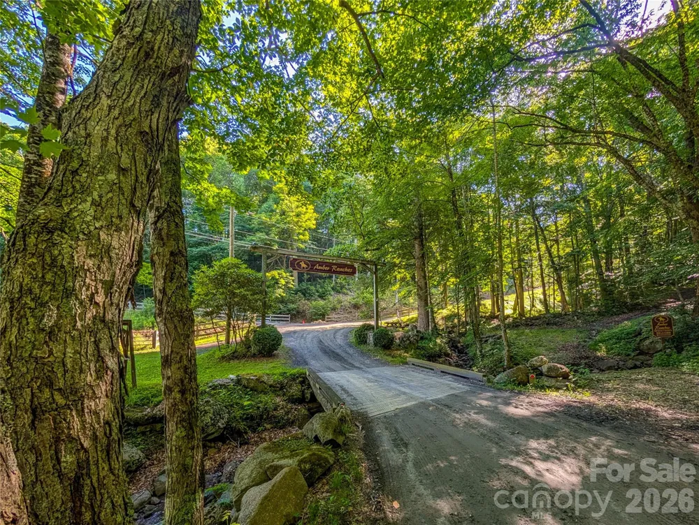 000 Amber Ranches #47 Bakersville, NC 28705