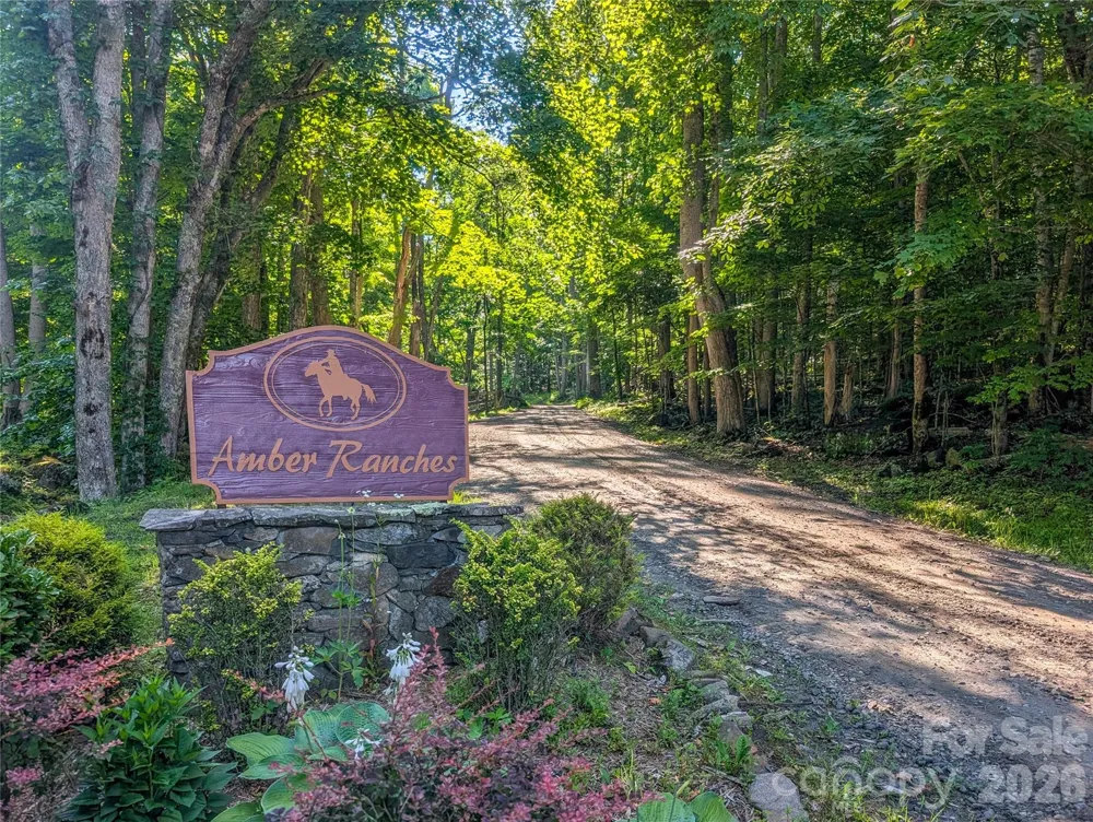 000 Amber Ranches #47 Bakersville, NC 28705