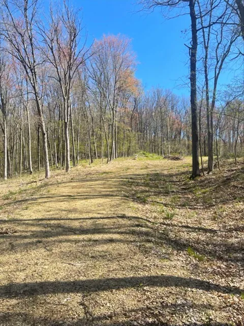 Lot's 4,5 & 6 Anderson Hill Lane