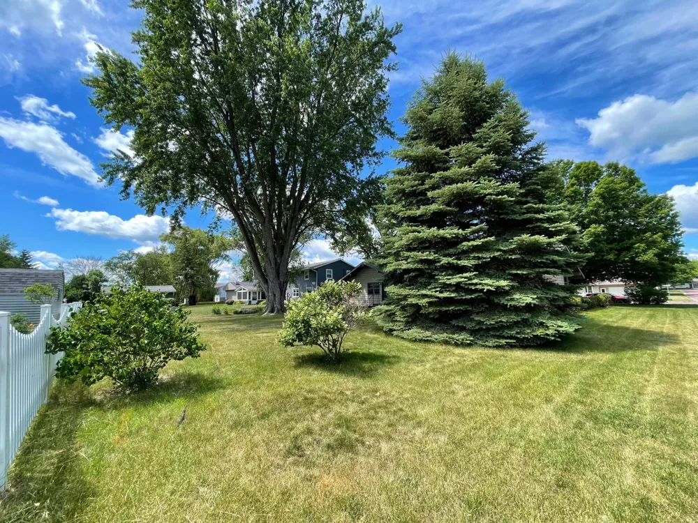 403 S Paffrath Avenue Springfield, MN 56087