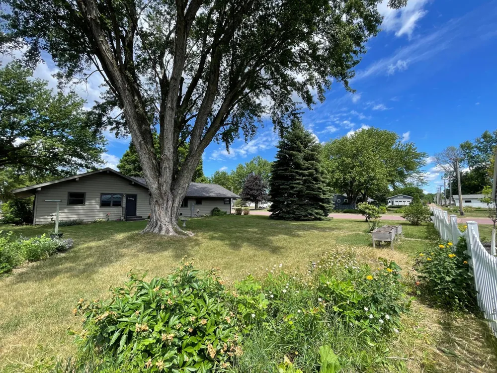 403 S Paffrath Avenue Springfield, MN 56087