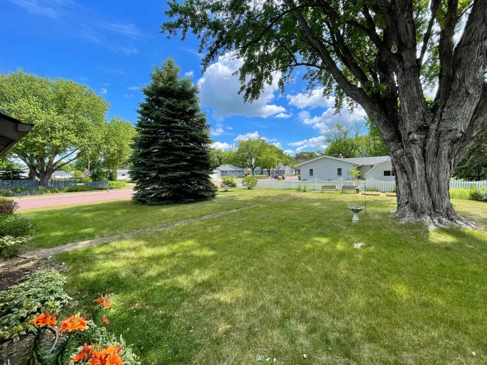 403 S Paffrath Avenue Springfield, MN 56087