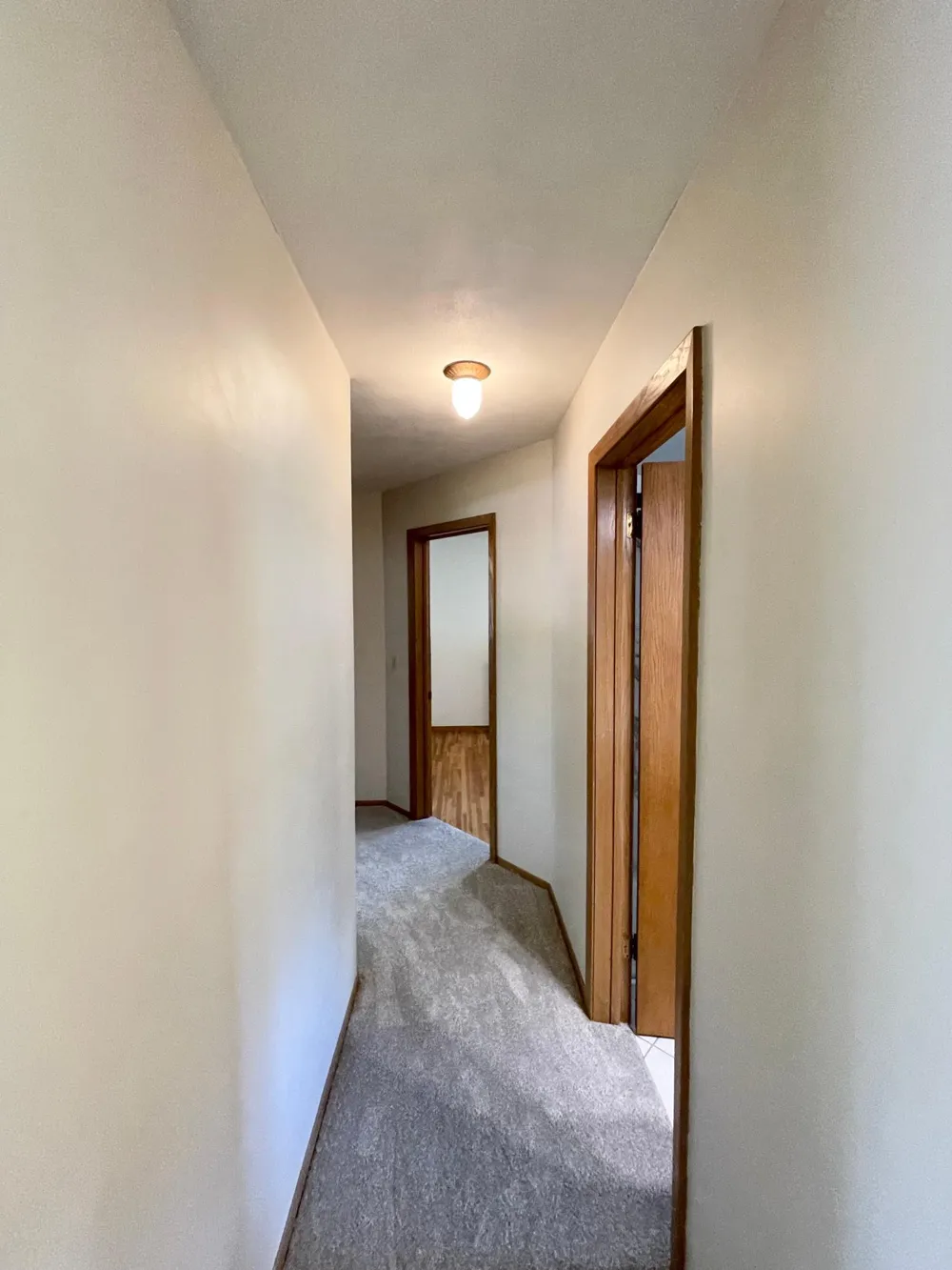 403 S Paffrath Avenue Springfield, MN 56087