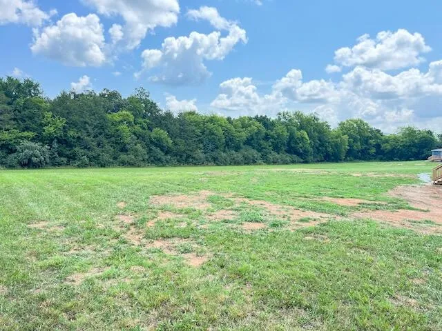 1690 Goodfield Road Decatur, TN 37322