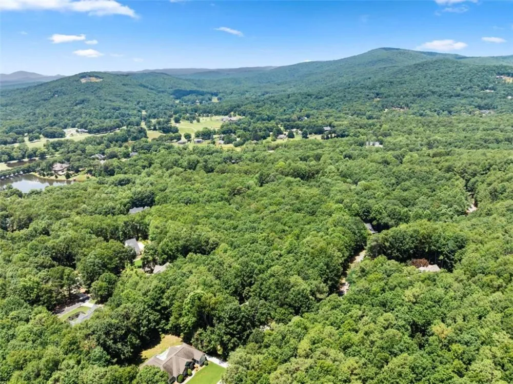 746 Plum Lane Clarkesville, GA 30523