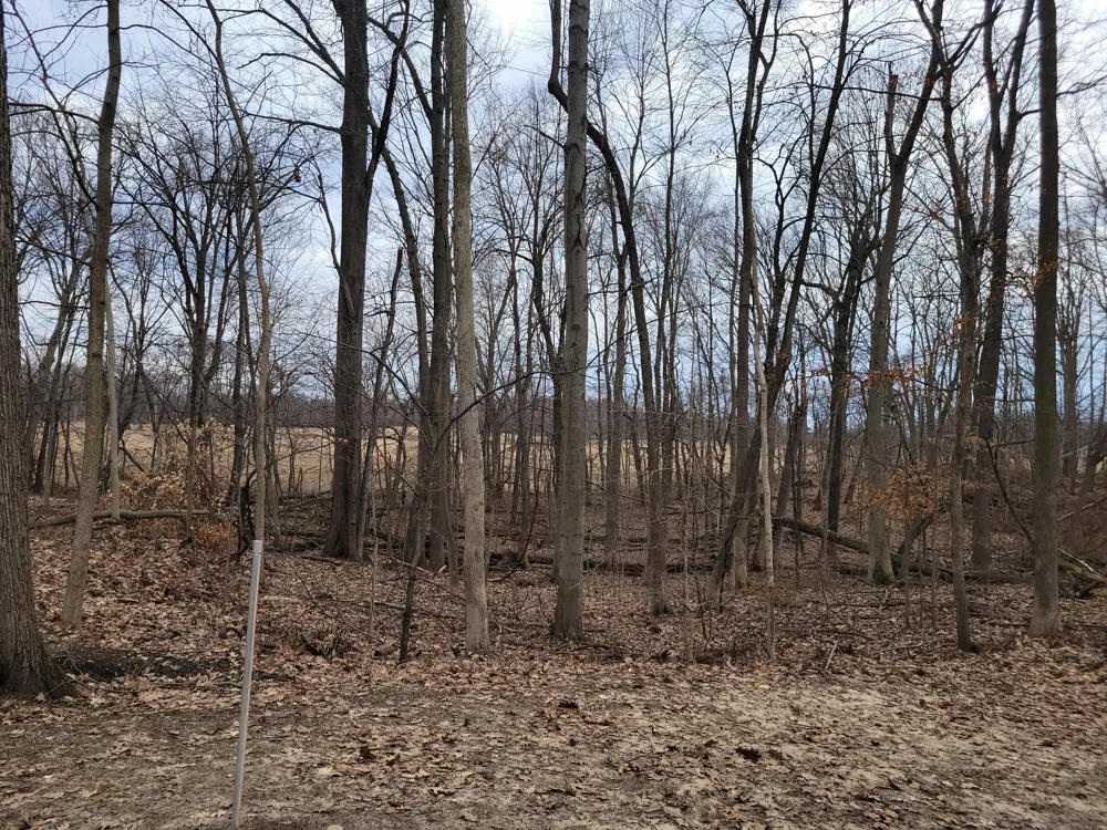 35176 Mill Lake Road Bloomingdale Township, MI 49055