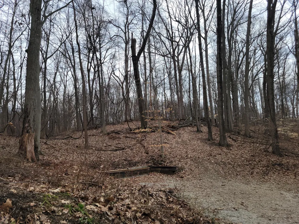 35176 Mill Lake Road Bloomingdale Township, MI 49055
