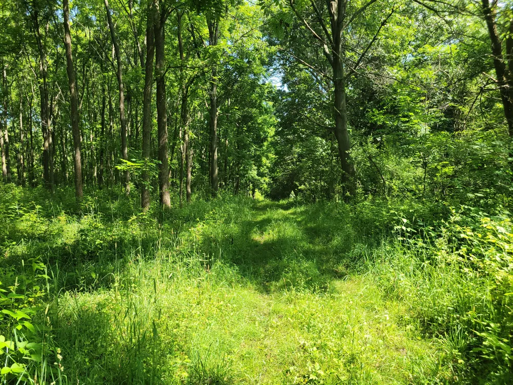 35176 Mill Lake Road Bloomingdale Township, MI 49055