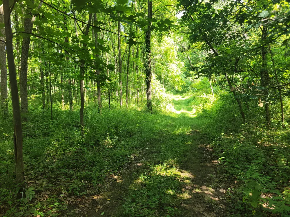 35176 Mill Lake Road Bloomingdale Township, MI 49055
