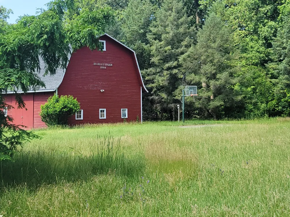 35176 Mill Lake Road Bloomingdale Township, MI 49055