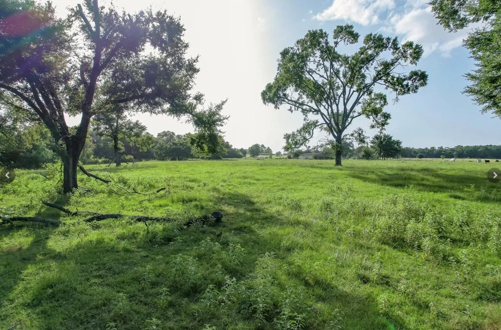6388 Red Rock Road Franklin, TX 77856