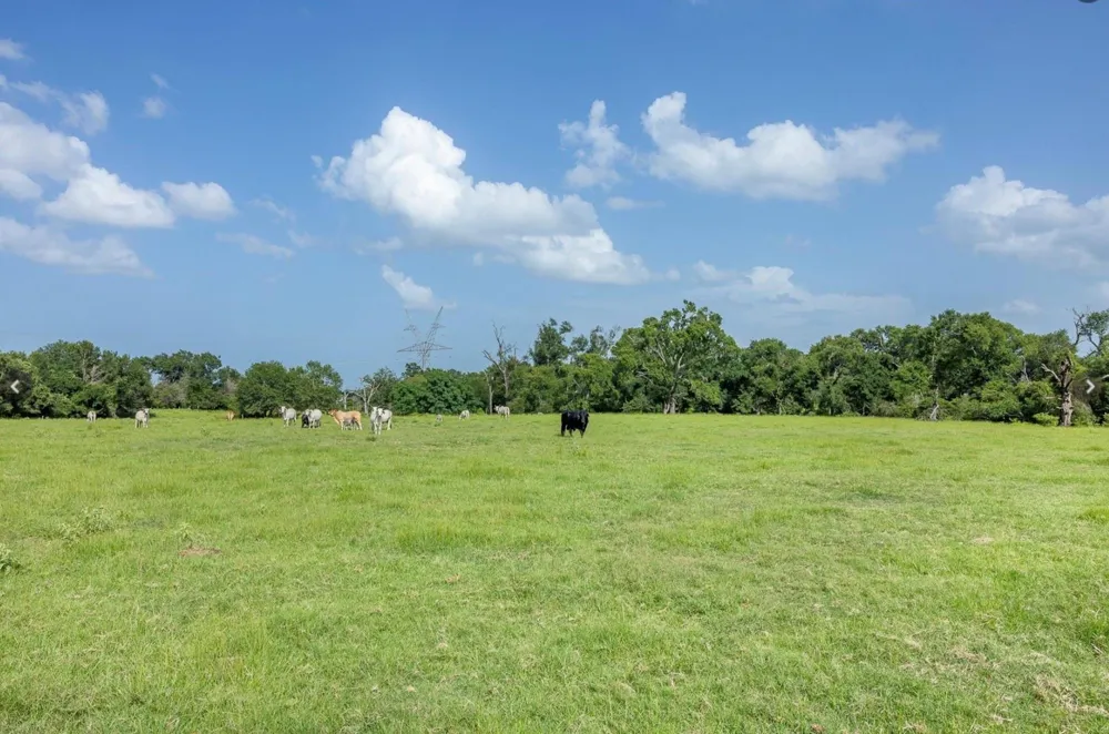 6388 Red Rock Road Franklin, TX 77856