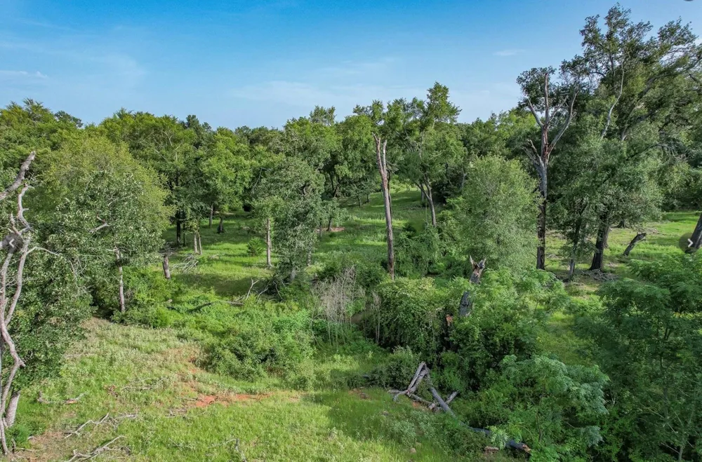 6388 Red Rock Road Franklin, TX 77856