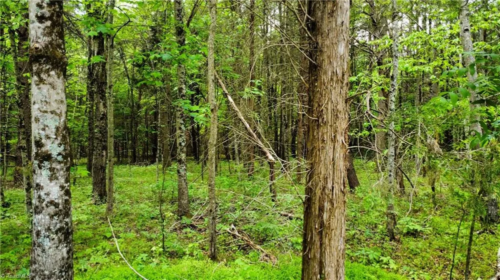 0 Eden Road Stoneville, NC 27048