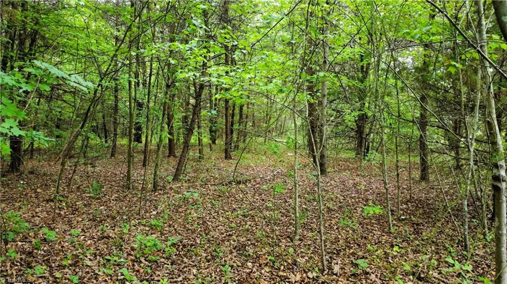 0 Eden Road Stoneville, NC 27048