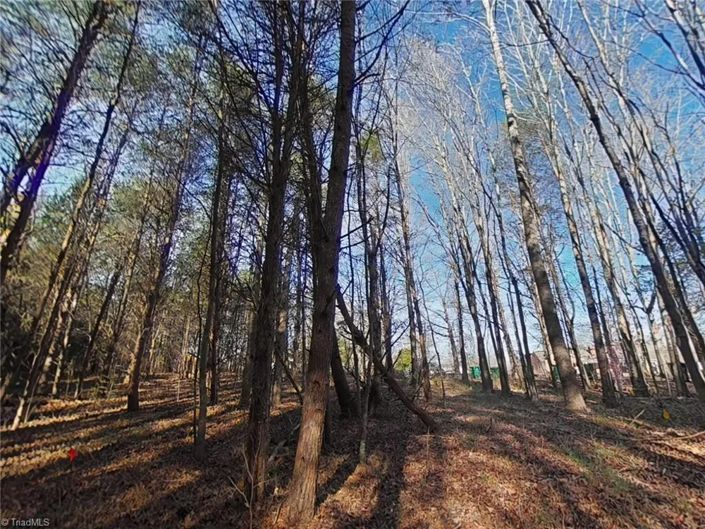 0 Eden Road Stoneville, NC 27048