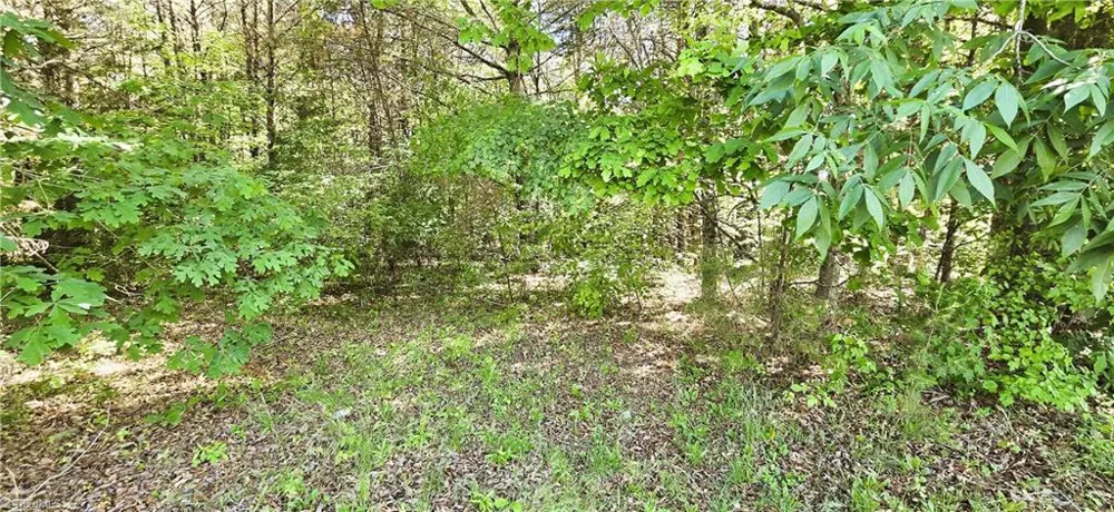 0 Eden Road Stoneville, NC 27048
