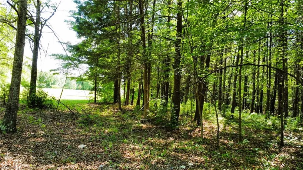 0 Eden Road Stoneville, NC 27048