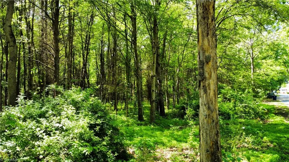 0 Eden Road Stoneville, NC 27048