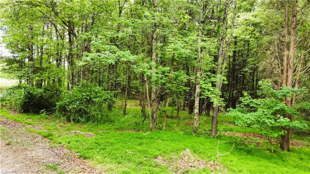 0 Eden Road Stoneville, NC 27048