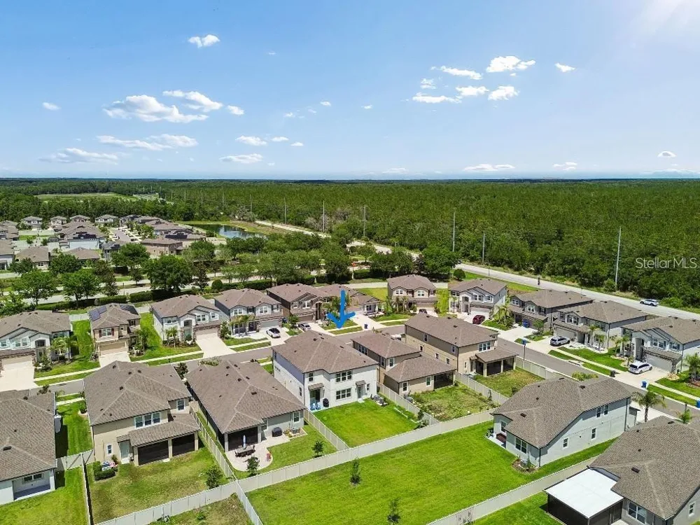 16011 SONOMA GROVE CIRCLE Tampa, FL 33647