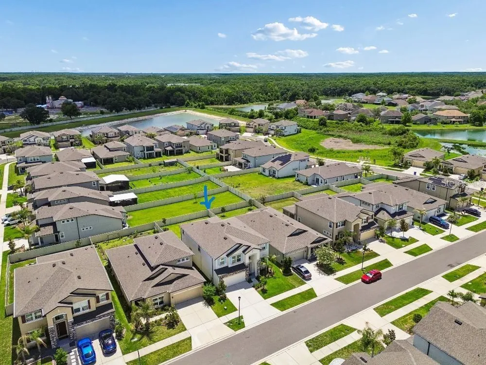 16011 SONOMA GROVE CIRCLE Tampa, FL 33647