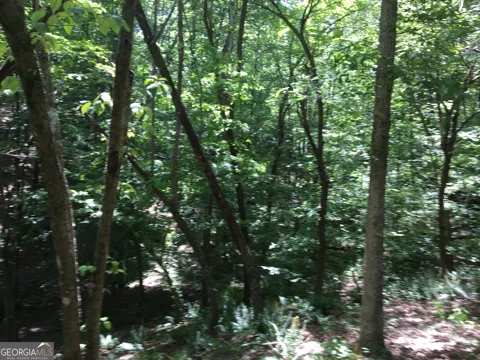 0 Damascus RD