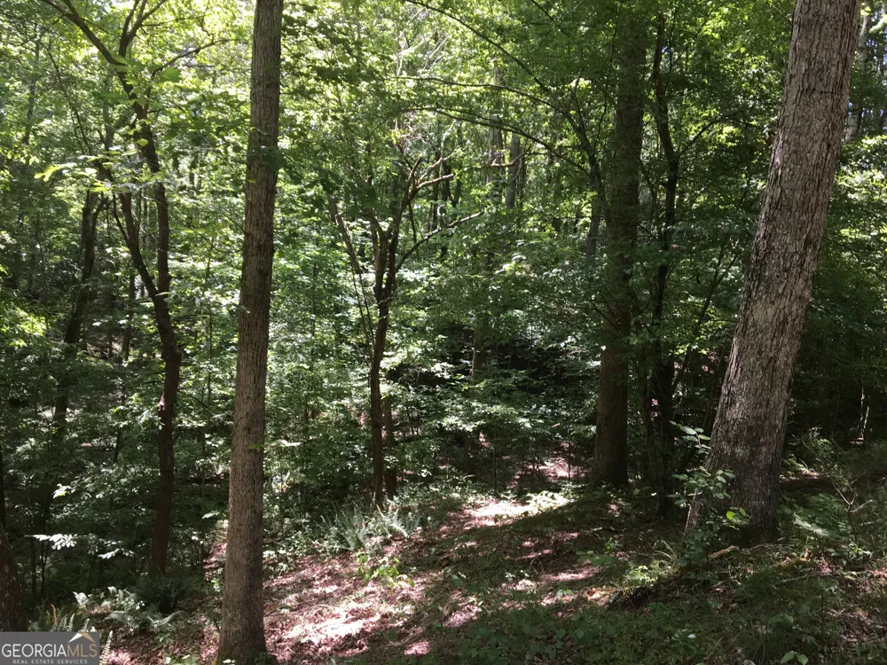 0 Damascus RD Ball Ground, GA 30107