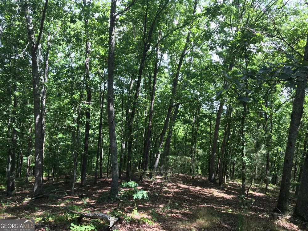0 Damascus RD Ball Ground, GA 30107