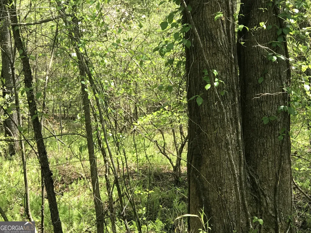 0 Damascus RD Ball Ground, GA 30107