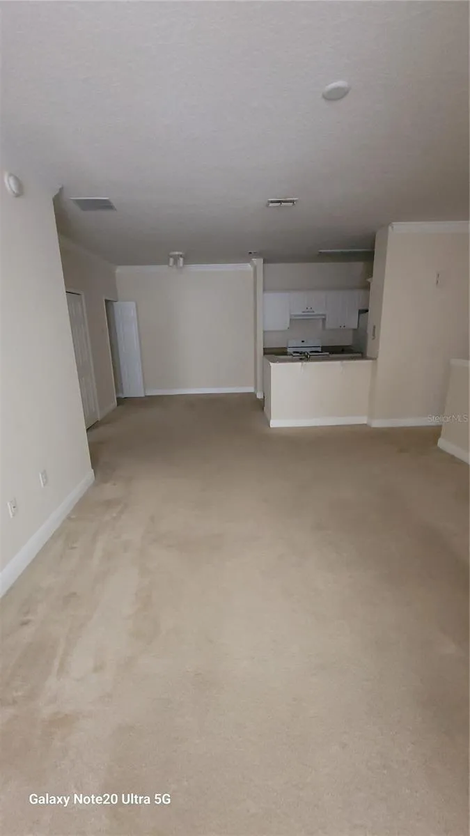 430 SOUTHERN PECAN CIRCLE #203 Winter Garden, FL 34787