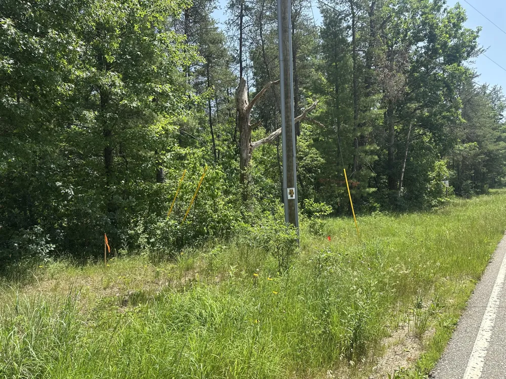 S Broadway Street Idlewild, MI 49642